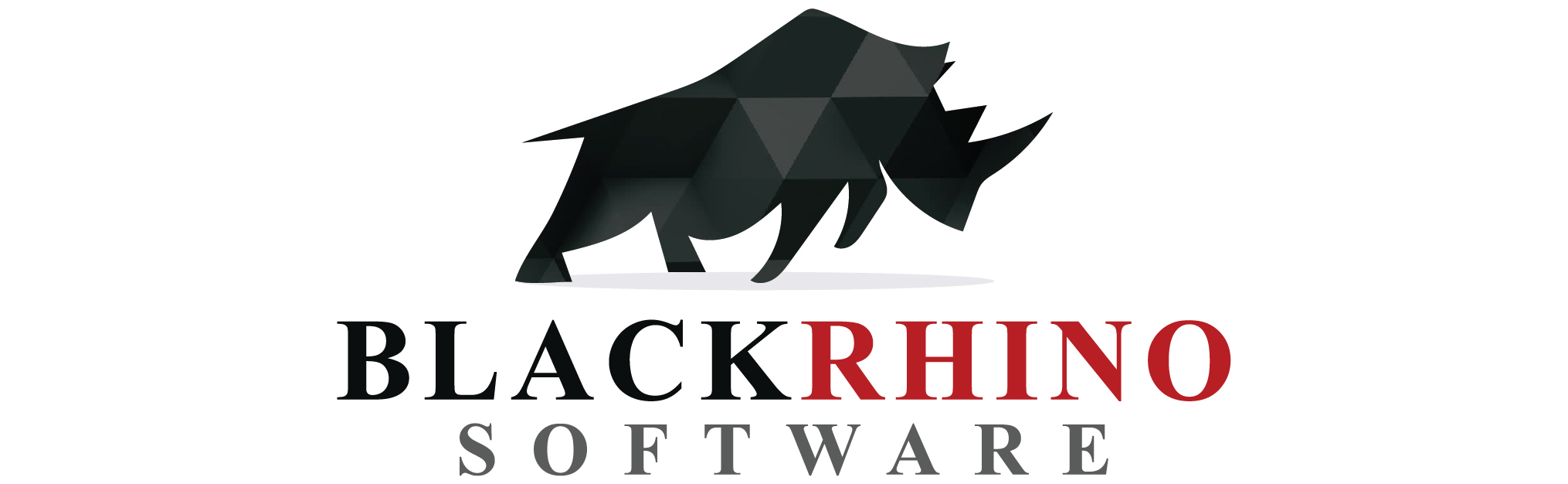 BlackRhino Software LLC Logo